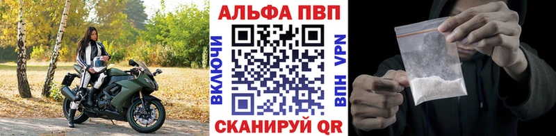 Альфа ПВП СК КРИС  Старая Русса 