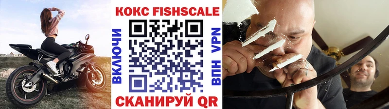 COCAIN Fish Scale  блэк спрут ССЫЛКА  Старая Русса 
