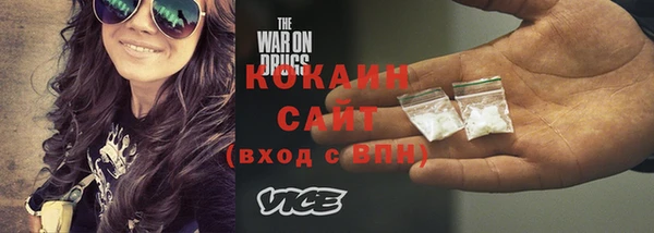 шишки Гусь-Хрустальный