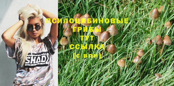 марки lsd Алексин