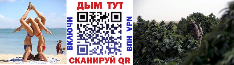 hydra вход  Старая Русса  Каннабис AK-47  купить  сайты 